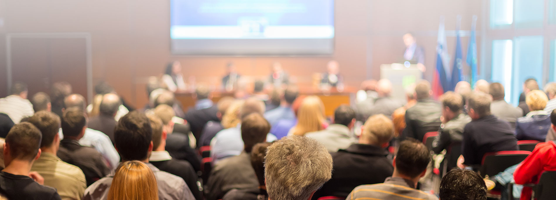 Harrys Rainbow  News & Events Banner